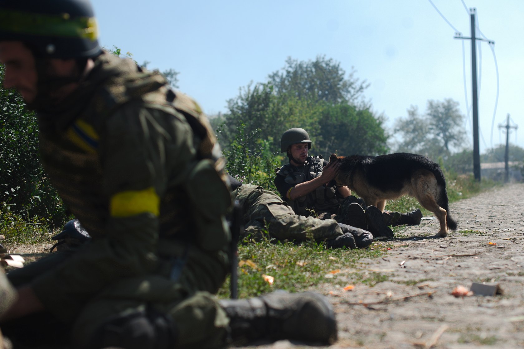 Фітіль прикриває вуха вівчарці, щоб уберегти від звуків бою. Бій на 2-му блок-посту, неподалік школи, Іловайськ. 26 серпня 2014 року