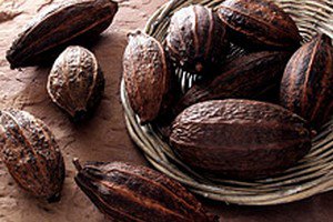Ученые установили что, наличие какао в рационе и хорошая память связаны