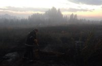 На Луганщине вторые сутки тушат пожар, возникший после обстрела