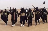 Международная коалиция нанесла 20 ударов по боевикам ИГ