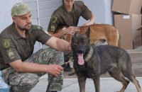 В Україну прибула третя партія службових собак з Європи, – Нацполіція