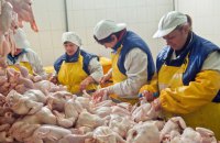 Україна заборонила ввезення птиці та продуктів зі США через спалах пташиного грипу
