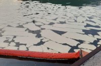 Судновласник затриманого за розлив пальмової олії в порту "Південний" судна звернувся з відкритим листом до Зеленського