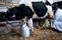 Що чекає молочну галузь України