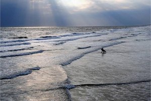 Учені попередили про тимчасове похолодання