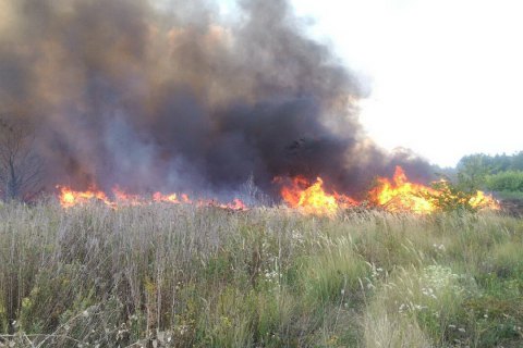Під час пожежі сухої трави під Олександрією постраждали четверо підлітків