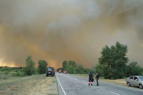 В Херсонской области начался лесной пожар