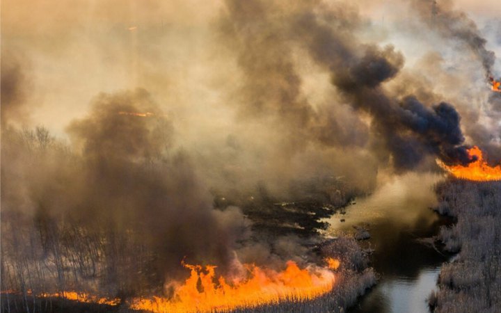 Денисова призвала МАГАТЭ присоединиться к тушению пожара лесов в зоне ЧАЭС