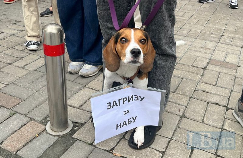 Акція під ВРУ напередодні голосування по законопроєкту №13533, який зареєстрував президент щодо повернення незалежності
антикорупційних органів.