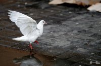 Завтра в Україні буде хмарно, температура підніметься до +5