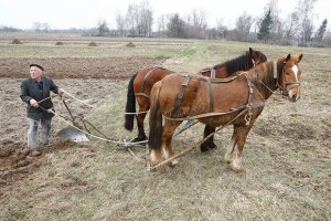 Мораторій на продаж землі робить селян кріпаками, - думка