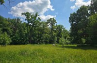 «Наукова схема». Як компанія з орбіти KSM Group намагається знищити урочище Теремки?