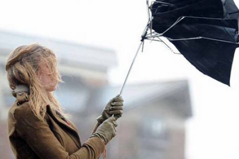 На Украину надвигается сильный ветер, в Киеве объявили штормовое предупреждение