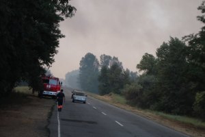 У пожежі в херсонських лісах підозрюють пастуха
