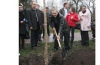Черновецкий посадил дерево на Алее журналистов