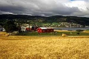 В Норвегии фермеры устроили хлебную блокаду