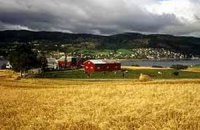 В Норвегии фермеры устроили хлебную блокаду