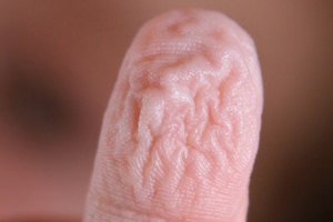 Ученые рассказали, почему морщатся мокрые пальцы