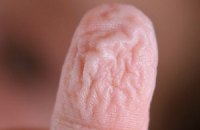 Ученые рассказали, почему морщатся мокрые пальцы