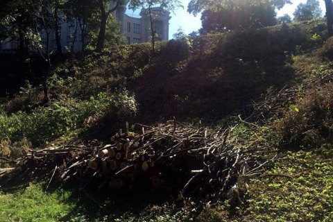 У Києві на Подолі незаконно вирубали 163 дерева