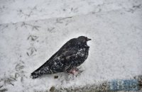В понедельник в Киеве обещают мокрый снег с дождем