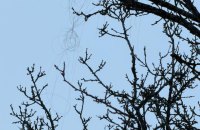 У Харкові вперше зафіксовано застосування FPV-дрона на оптоволокні 