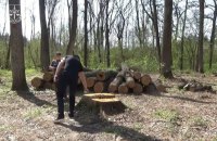 «Ліси України» сплатять понад 4 млн грн збитків за незаконну вирубку лісу 