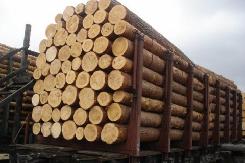 Рада приняла в первом чтении законопроект в поддержку моратория на экспорт леса