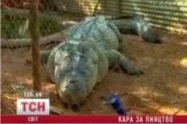 Пьяный австралиец оседлал 5-метрового аллегатора 