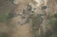 Шесть слонов погибли в Таиланде, пытаясь помочь друг другу на водопое