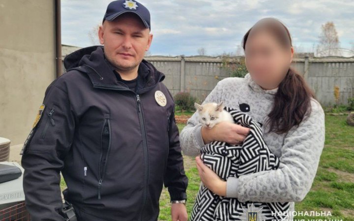 Поліцейські притягнули до відповідальності батька дитини, яка розмалювала кота фломастерами