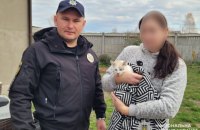 Поліцейські притягнули до відповідальності батька дитини, яка розмалювала кота фломастерами