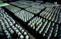 Чи зможе Україна стати арсеналом демократії