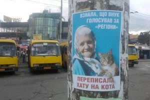 Милиция разыскивает автора бигборда "бабушки с котом"