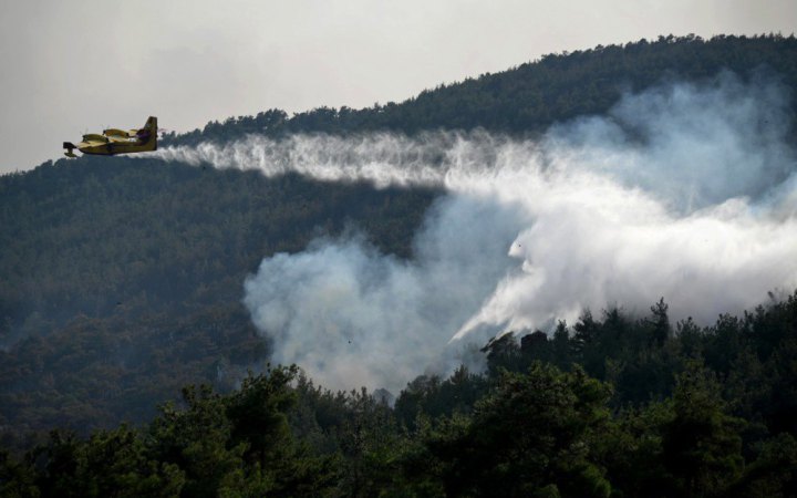 Грецькі пожежники борються з лісовою пожежею на острові Крит