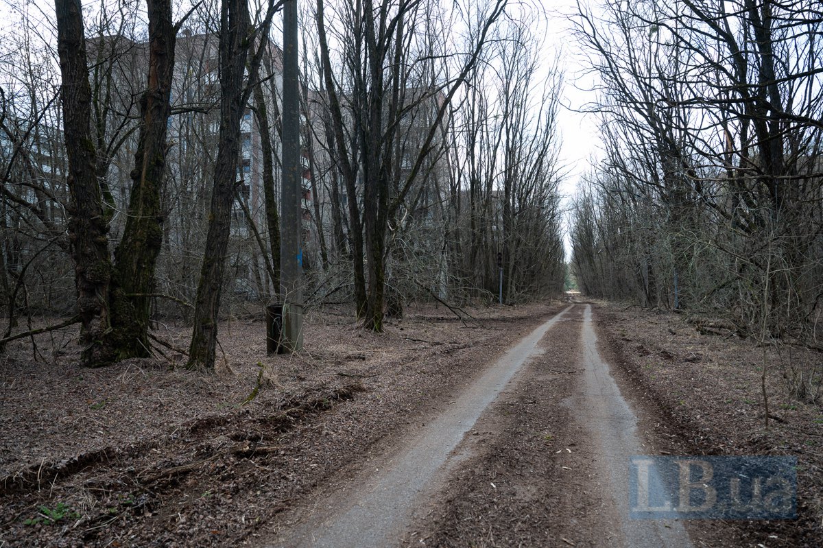 Одна з доріг у Прип'яті