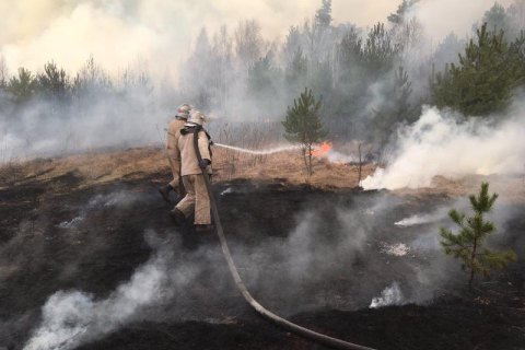 Рятувальники натрапили на міну під час гасіння пожежі в Луганській області