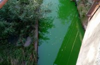 Разом з київськими фонтанами хулігани "пофарбували" у зелений колір річку Либідь