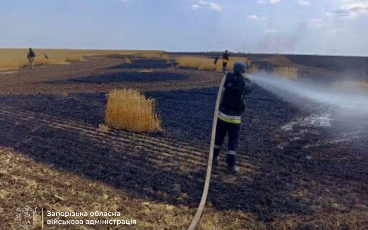 Через російський обстріл на Запоріжжі згоріло поле пшениці