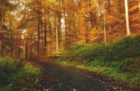 Вихідні в Україні пройдуть переважно без опадів