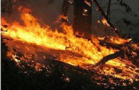 В Крыму возле Ялты горит лес 