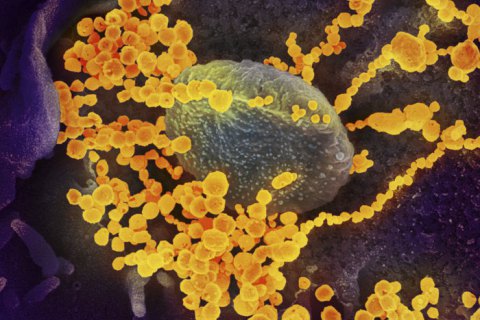 Число інфікованих коронавірусом у світі перевищило 100 тис. осіб