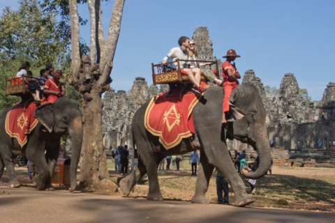 ​В Камбодже туристам запретили кататься на слонах