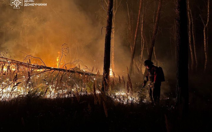 На Донеччині рятувальники другу добу ліквідовують масштабну пожежу у нацпарку