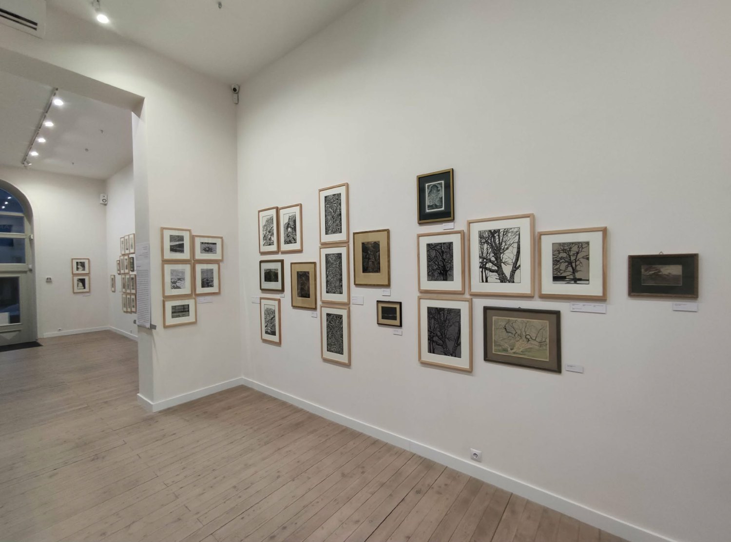 Виставка «Краса буденного»