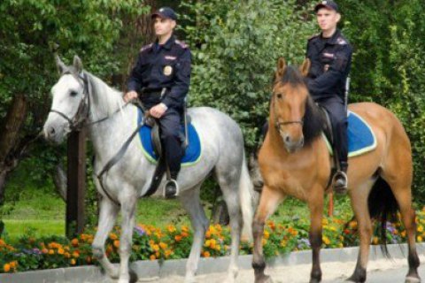 В Киеве появится конная полиция