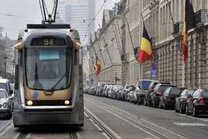 Власти Брюсселя обвинили мышей в дорожных пробках