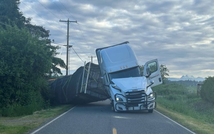 У штаті Вашингтон через аварію із вантажівки вилетіли понад 250 млн бджіл