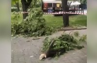 ​У Києві на територію зоопарку впали уламки ракети, з тваринами проводять антистресові заходи