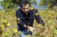 Начальника полиции уволили после инцидента в винограднике Саакашвили